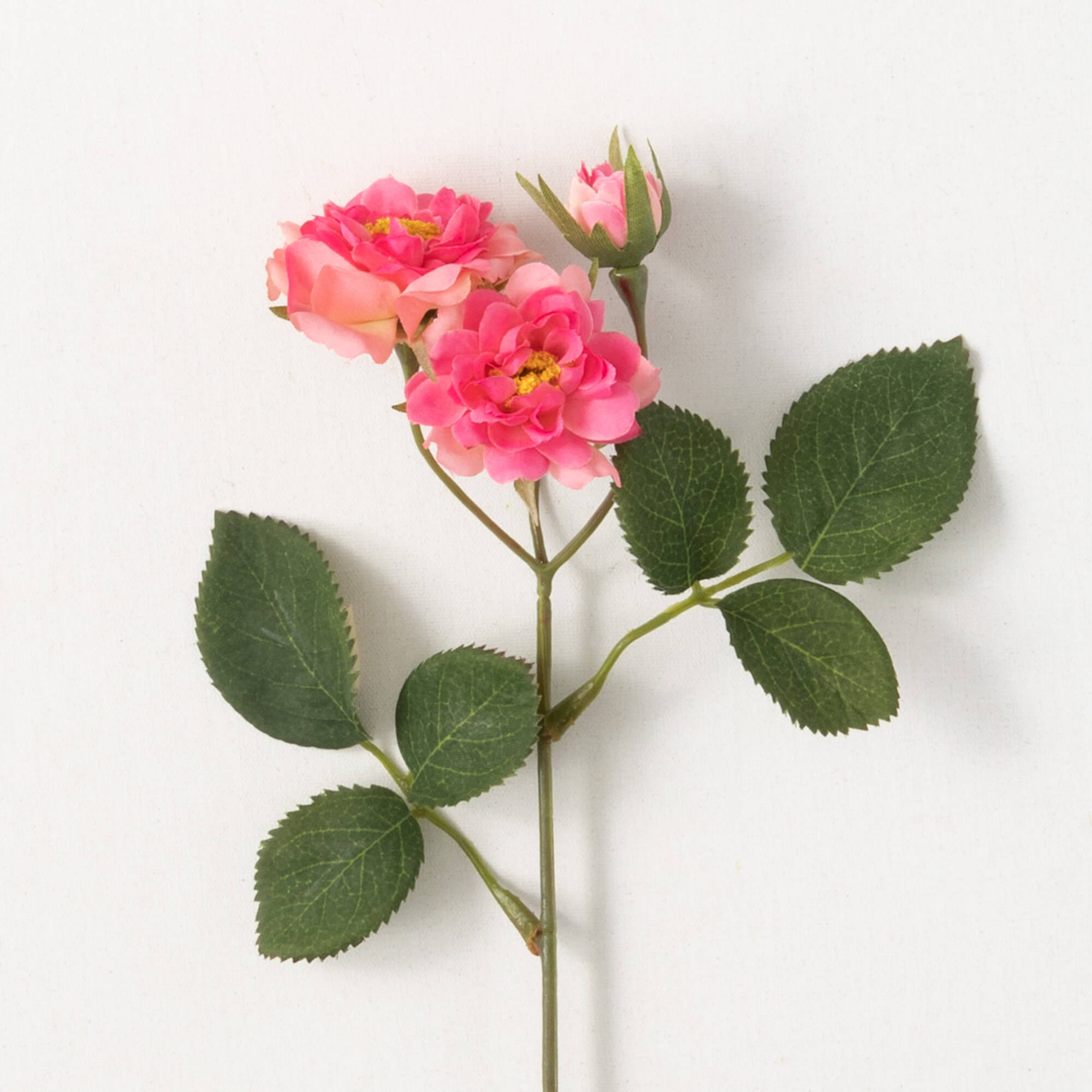 Wild Rose Spray - Moss & Embers Home Decorum