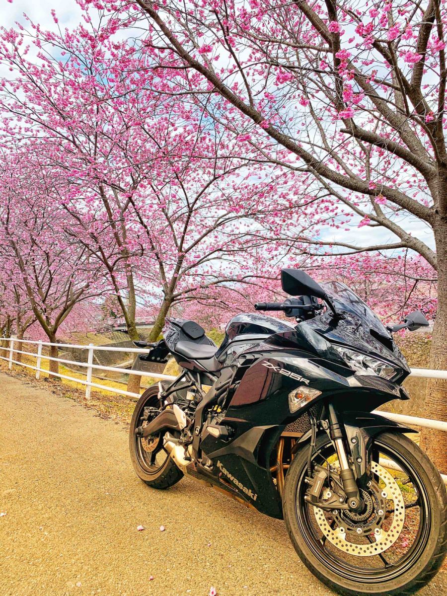 アンティークベア Ninja ZX-25R by アクティブ | カスタムマシン