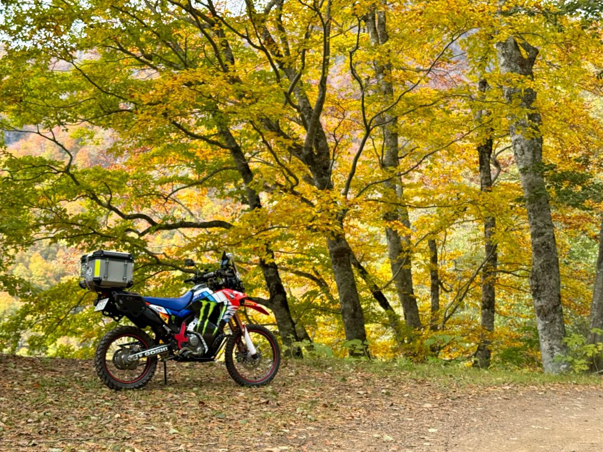 投稿詳細｜MOTOCLE