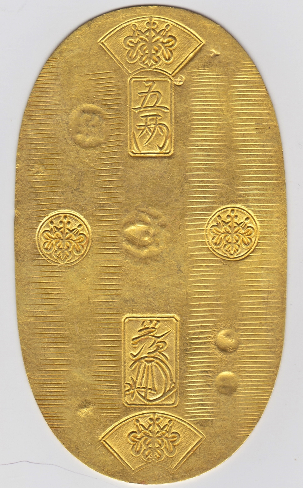 天保五両判金 極美品 日本貨幣商協同組合鑑定書付 | ミスターコインズ