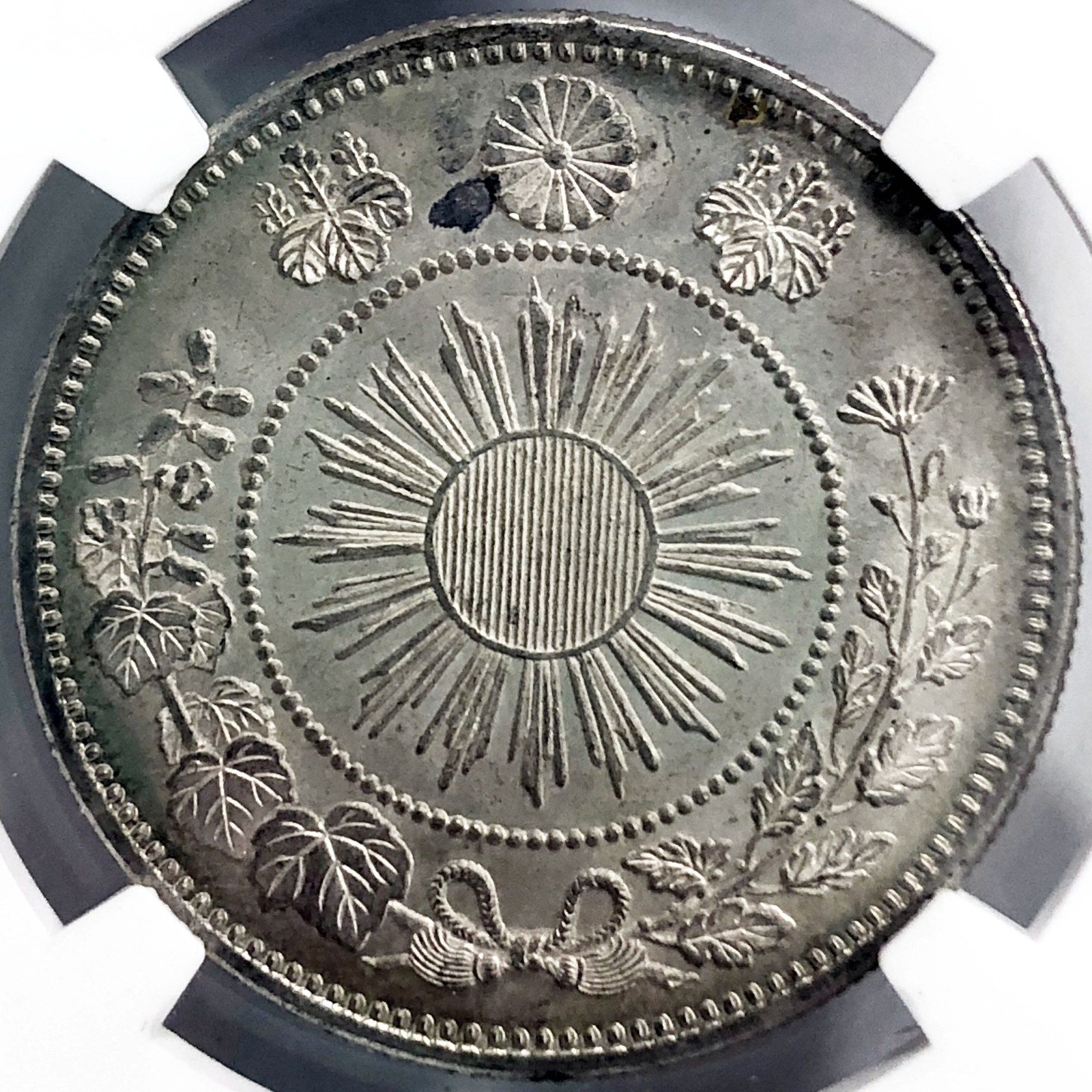 旭日竜小型50銭銀貨 明治4年 大竜 NGC(MS64) | ミスターコインズ