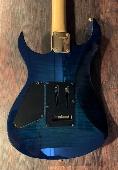 FERNANDES FGZ-550 – エムズサウンド