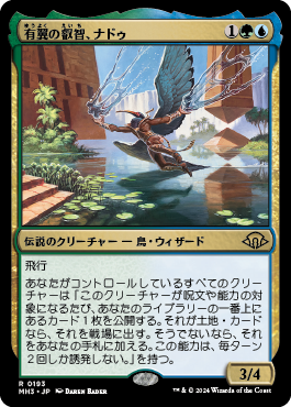 MTG 補充（日本語） 2枚セット 再録禁止 MTG 補充（日本語） 2枚セット