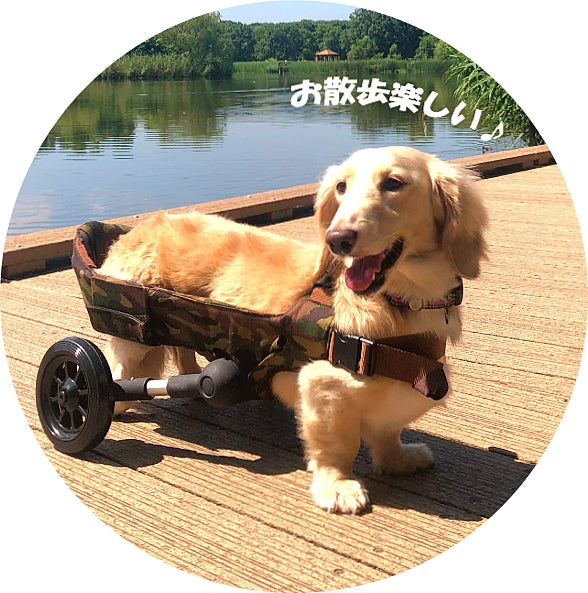 犬用車いす 着る歩行サポートカート WANCORO – Mu&mattina