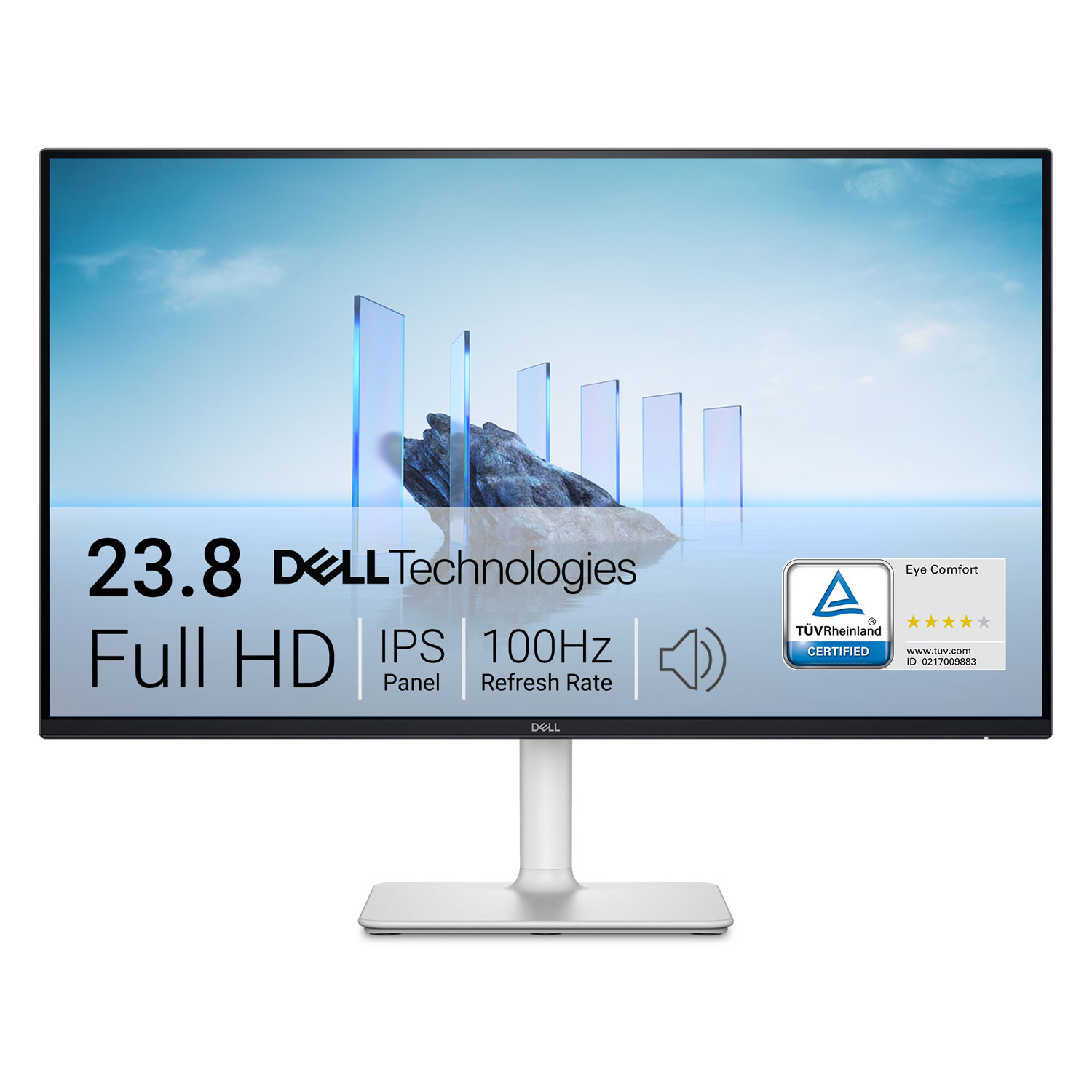 Dell 24