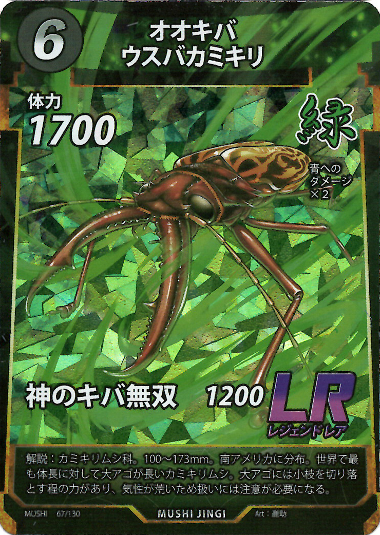 蟲神器】オオキバウスバカミキリ(LR)の詳細【昆虫カード図鑑】