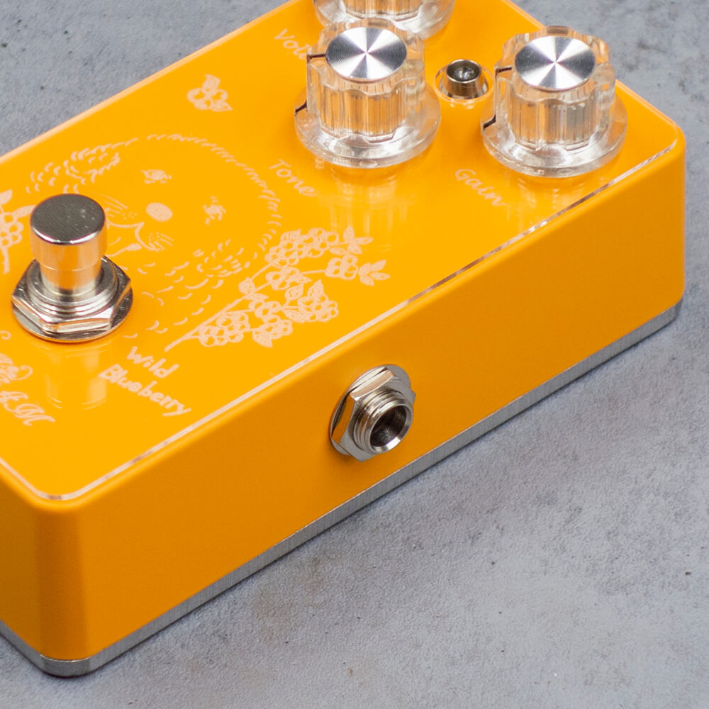 ギター Blackberry JAM Wild Blueberry MariGold Wild Blueberry
