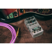 WALRUS AUDIO MAKO Series: D1 High-Fidelity Delay V2 [WAL-MAKO/D1V2