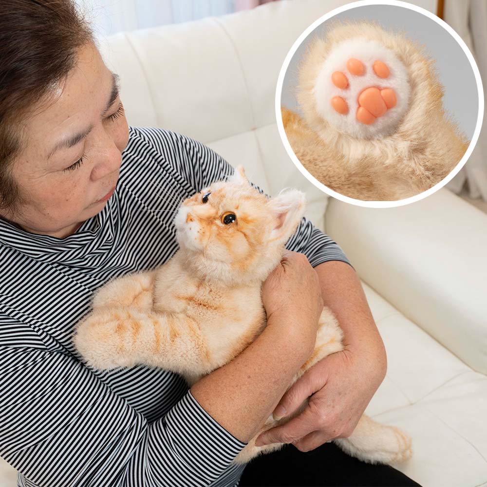 癒しのおもちゃ なでなでねこちゃんEX HGラグドール【介護ロボット