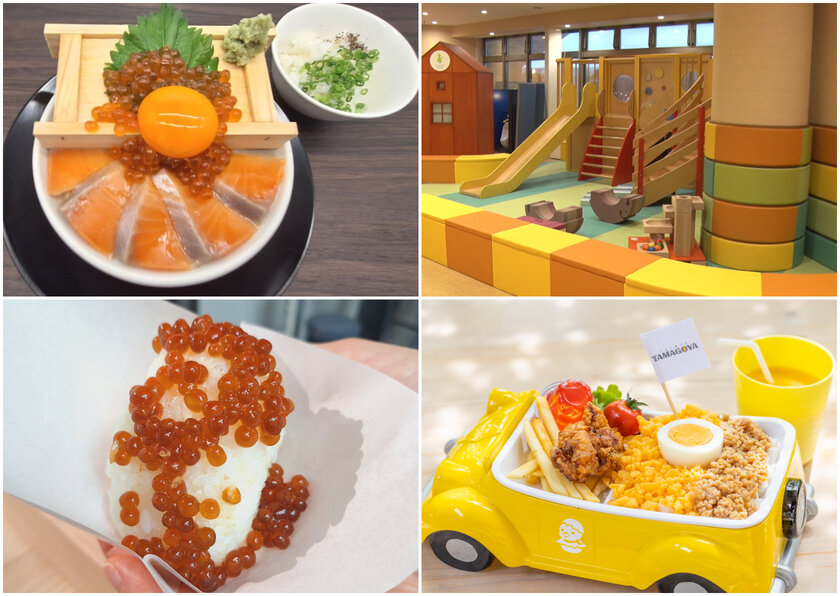 道の駅きっぷ 北海道 サーモンパーク千歳 160円券 10000番のゴールド券