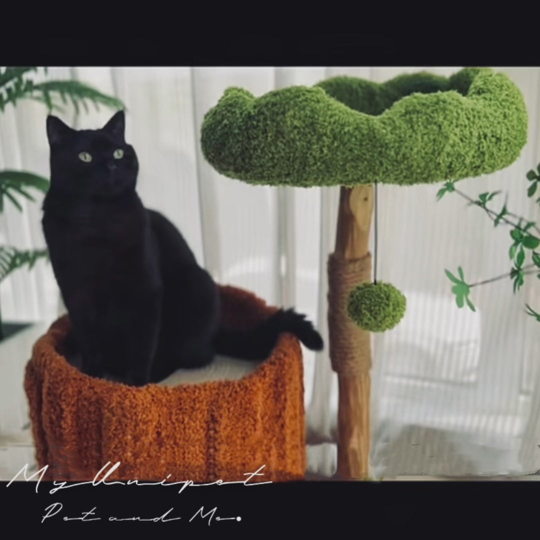 木にのる】ベッド付き無垢材キャットタワー 天然木 北欧風 多猫世帯