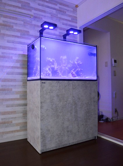 オーバーフロー水槽設置～REEFER250限定マーブル～ | 生麦海水魚センター