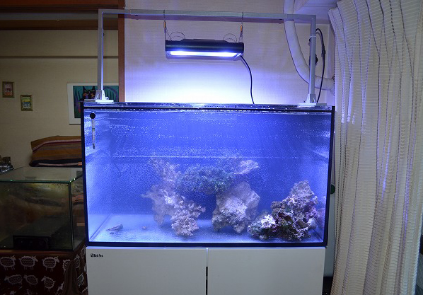 Red Sea REEFER 250 オーバーフロー水槽 レッドシー リーファー 250