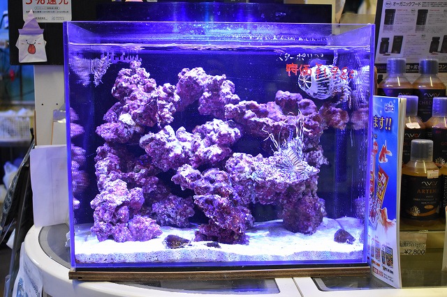 ORCA shell2 水槽 ORCA Shell2