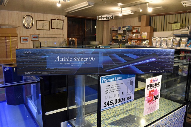 新商品！！斜め照射可能！？アクティニックシャイナー | 生麦海水魚