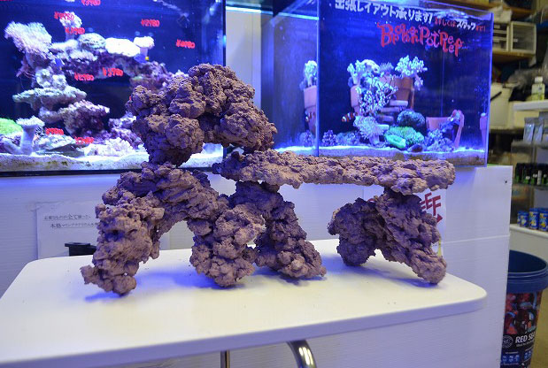 りお ライブロック 盆栽 ハングアウト デスロック レイアウト サンゴ