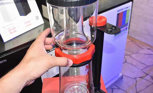 お手頃！スリム！わかりやすい！コーンスキマーの魅力 | 生麦海水魚