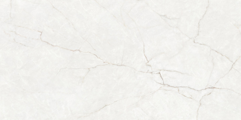 名古屋セラミックス株式会社