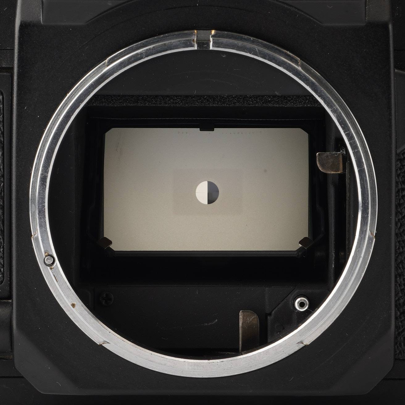 キヤノン Canon New F-1 35mm 一眼レフフィルムカメラ / AE