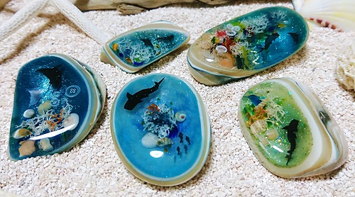 ☆貝☆貝殻☆標本☆ 夜光貝×14個 +オマケ 9個 夜光貝 貝殻XLサイズ