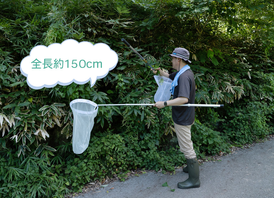 志賀昆虫 捕虫網セット ナイロン網タイプ 径36cm 全長150cm