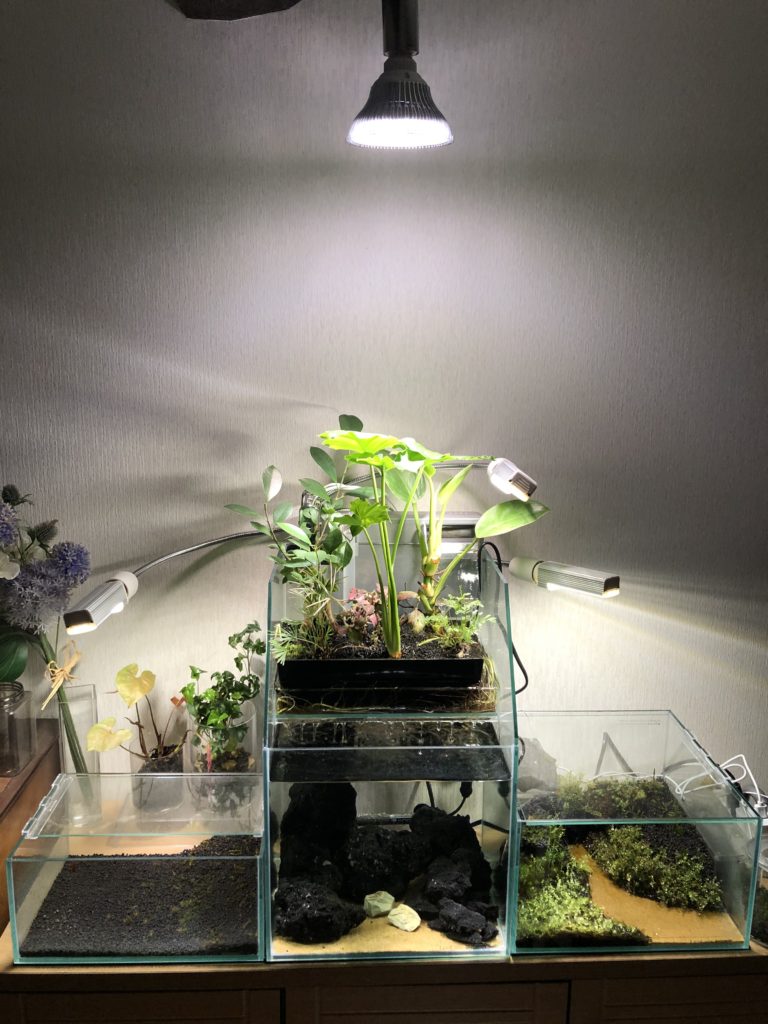 アクアポニックス水槽に観葉植物育成用LED照明を追加設置│Nature at Home