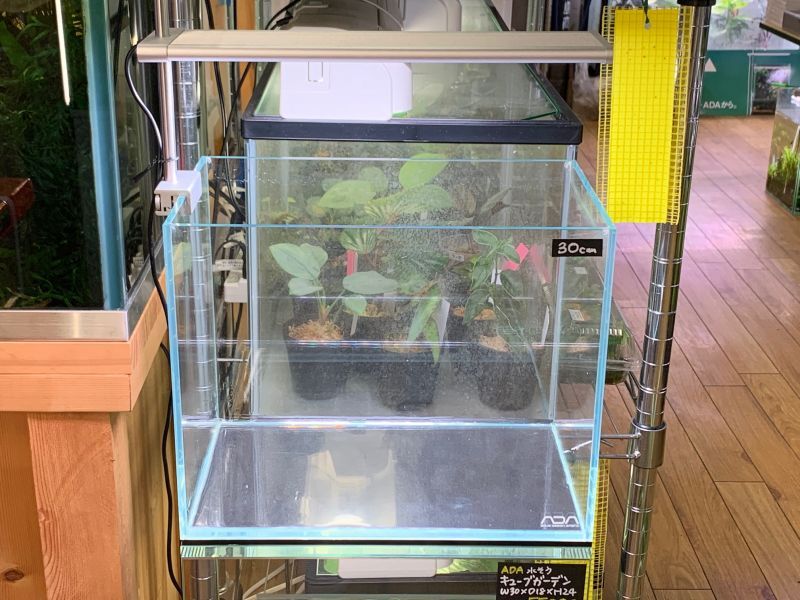 ADA 30cm キューブ水槽 セット