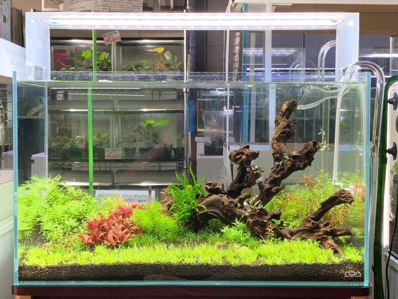 新品未使用】ADA キューブガーデン 45×27×30 専用マット付き ADA キューブ