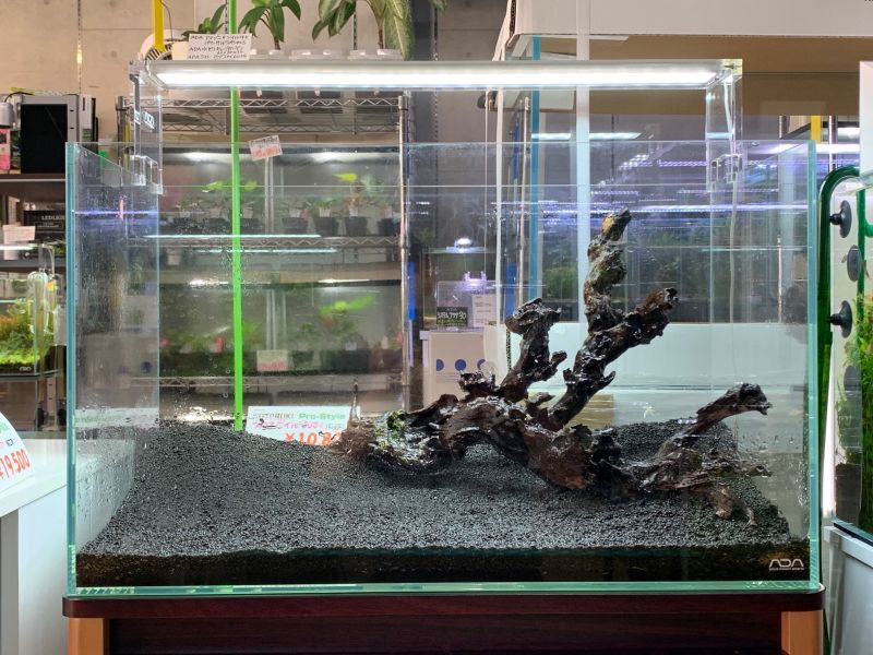 ADA Do!aqua ウォーターフォールver2 60cm