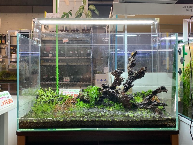 ADA 水槽 120cm 120x45x45 キューブガーデン キューブガーデンADA45㌢水槽