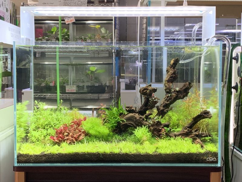 ADA ネイチャーアクアリウム プロピンセット等メンテナンスセット 水草