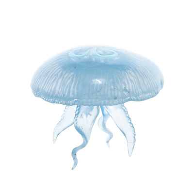 クラゲ ソフトストラップ – ネイチャーテクニカラー公式