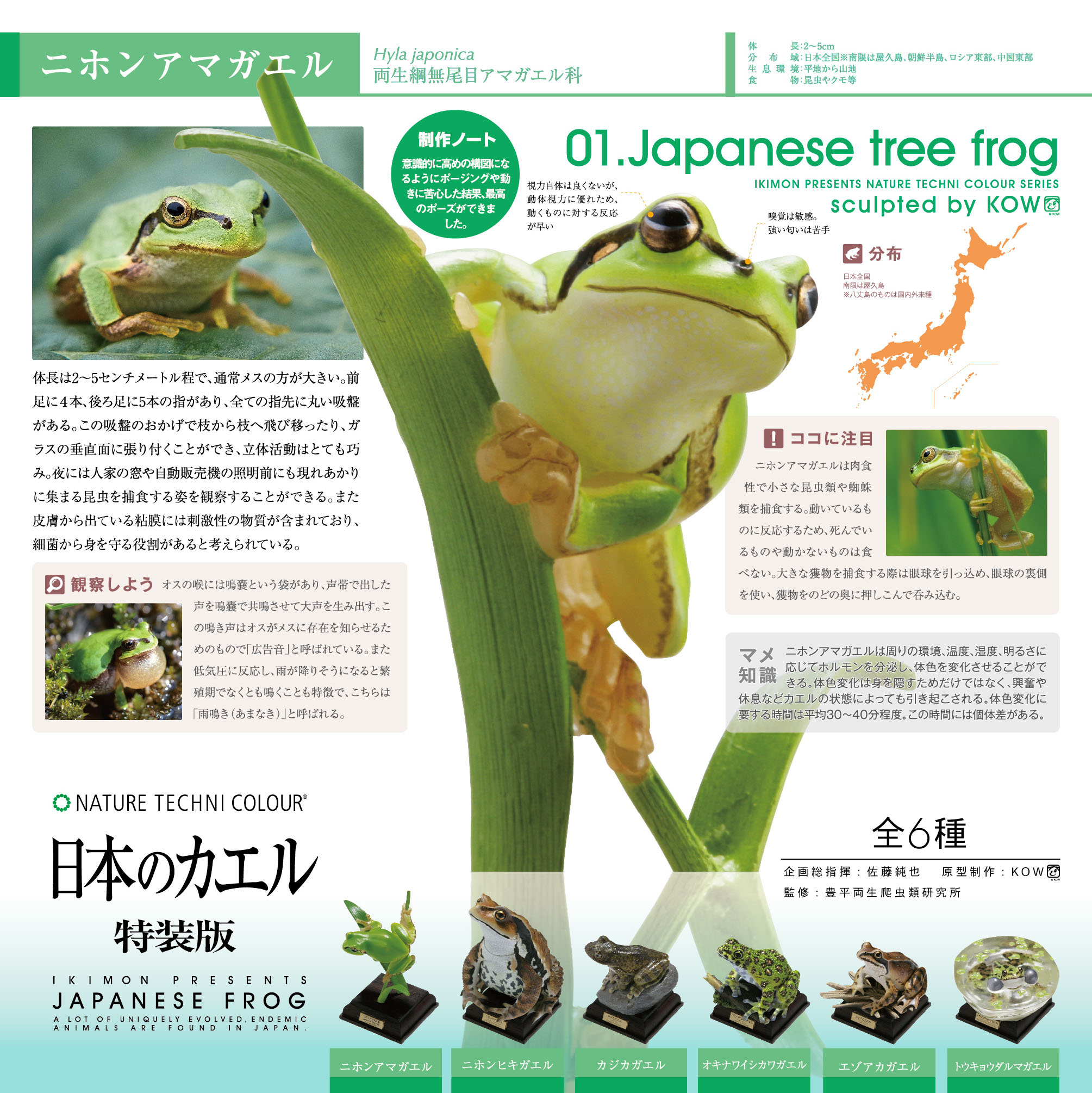 NTC 日本のカエル 特装版 – ネイチャーテクニカラー公式