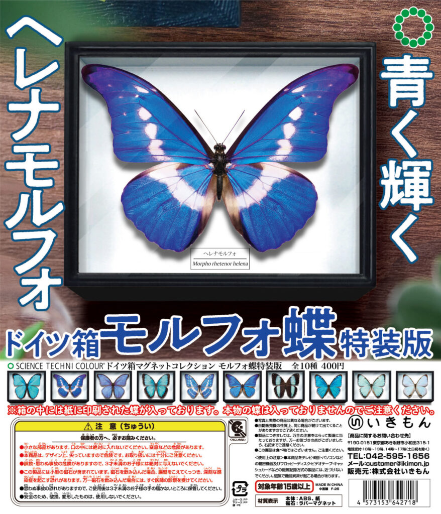 外国産蝶標本 モルフォ蝶+ドイツ箱 新商品のお知らせ】 – ネイチャー
