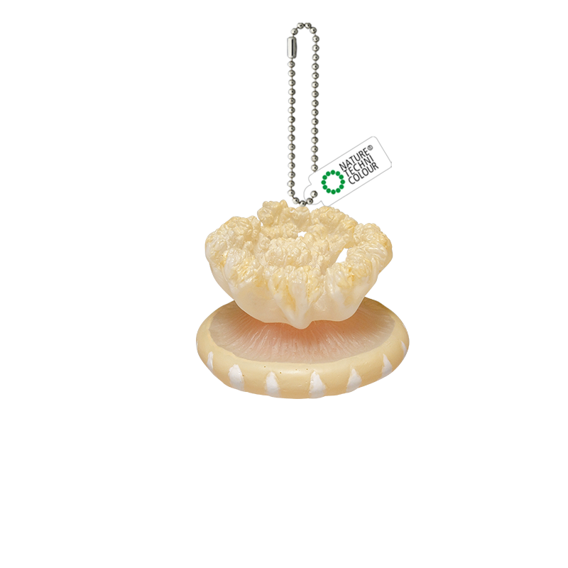 クラゲ ボールチェーンマスコット – ネイチャーテクニカラー公式