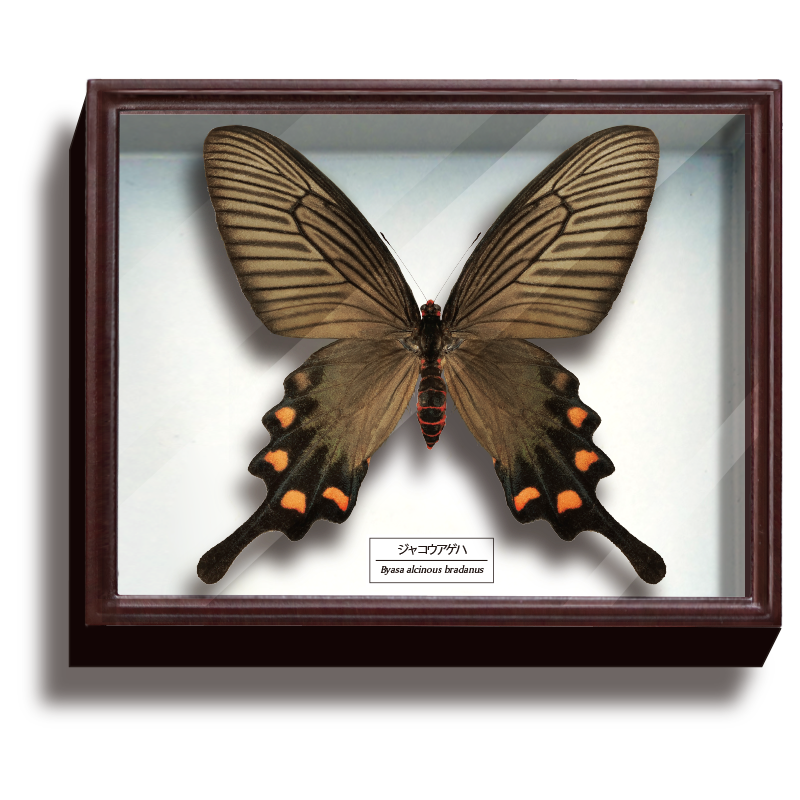 カバの石彫刻 3体セット カバの石彫刻 3体セット カバの石彫刻 3体