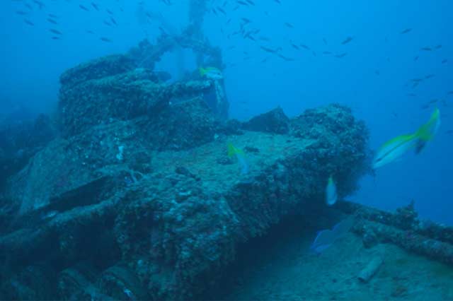海の底 まる見え検証」放送直前SP | ナショナル ジオグラフィック日本