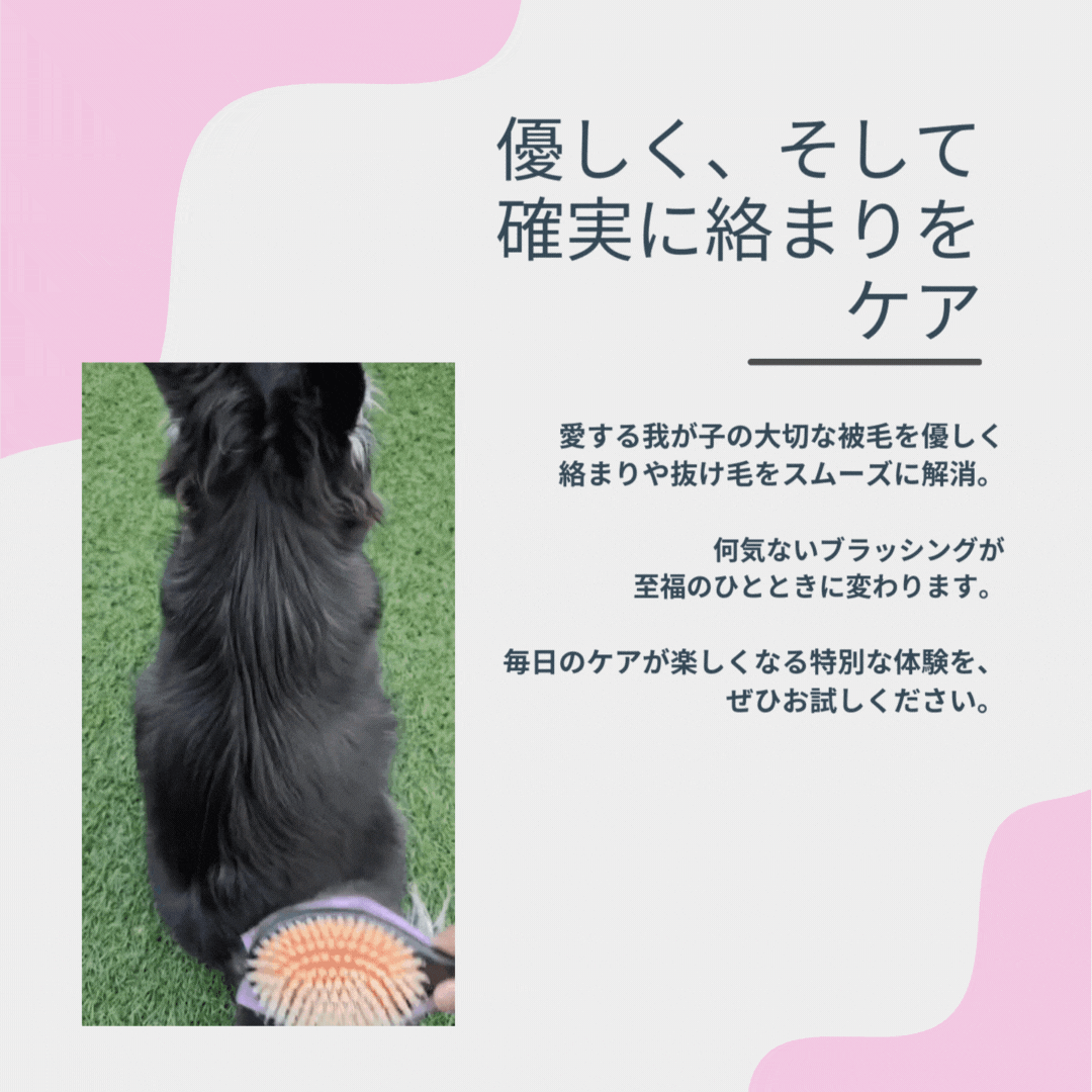 数量限定】魔法のペットブラシ SHARR 【4月中お届け予定】 – NENE's store