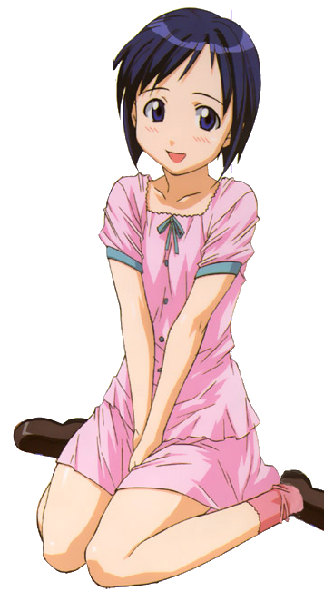 ラブひな 卓上ポップ POP ポップ 成瀬川なる 前原しのぶ 9枚セット 10