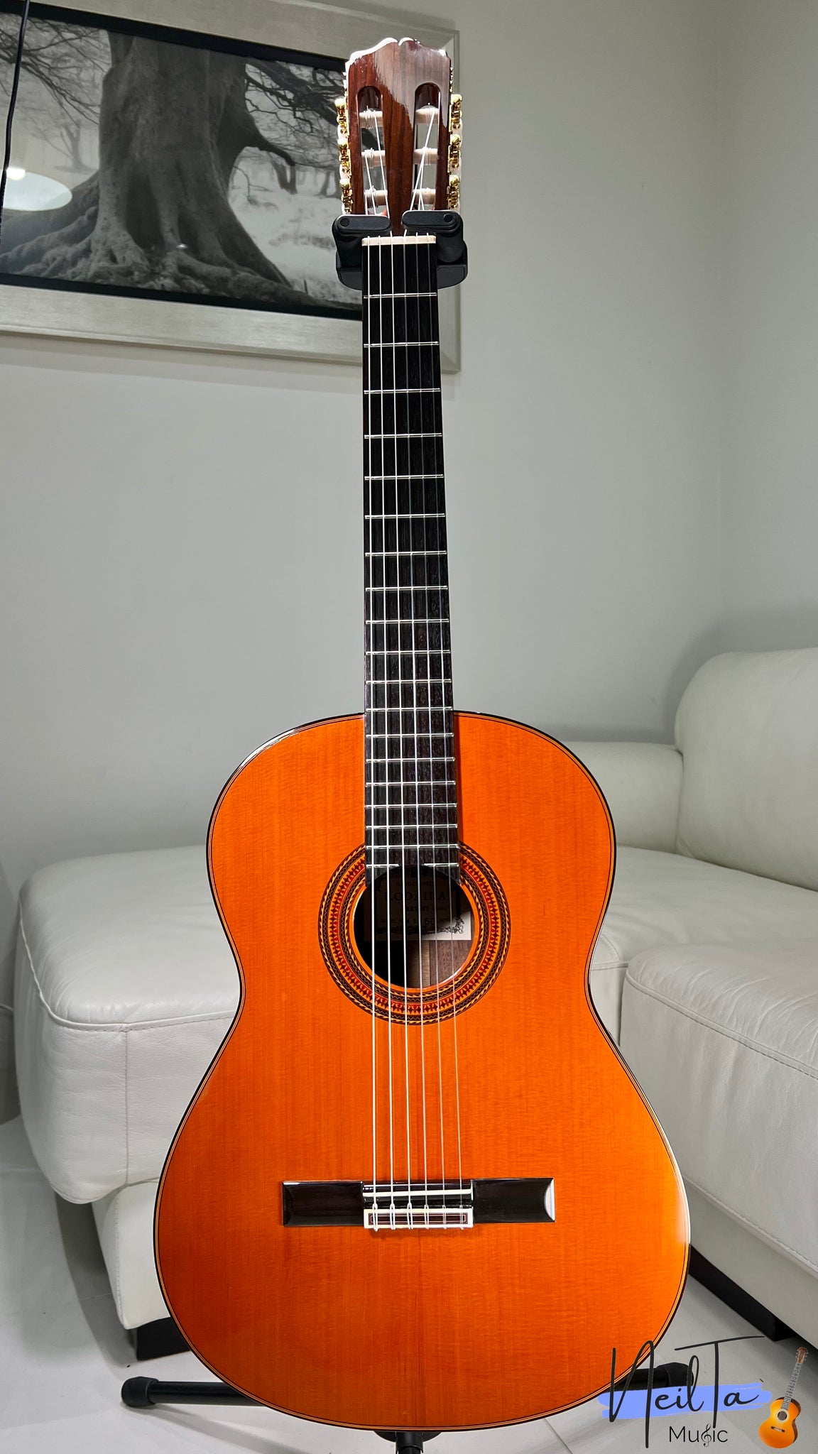 KODAIRA AST50 ARTIST 小平 コダイラ クラシックギター 鍵付 2025年