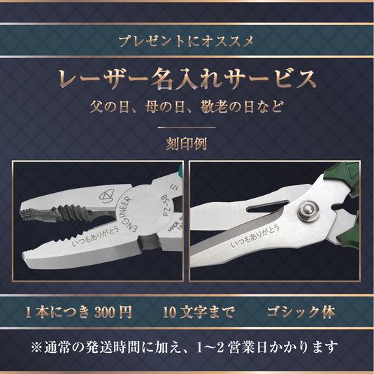 PZ-33 ネジザウルスDF – エンジニア公式オンラインストア