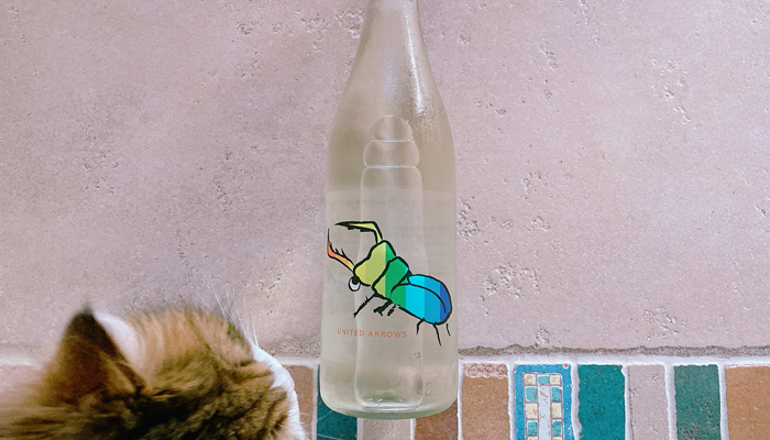 超限定】 仙禽 カブトムシ UA 一升 仙禽 かぶとむし | Sakenomy