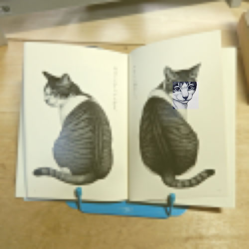 與倉豪『猫』 | 猫好きが読んだ千冊の本