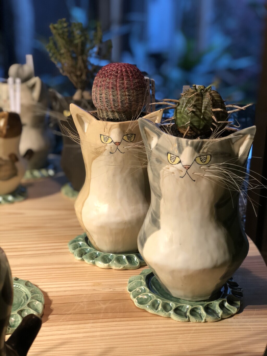 愛猫へのプレゼントにもぴったり！陶芸作家が生み出す、猫焼き物