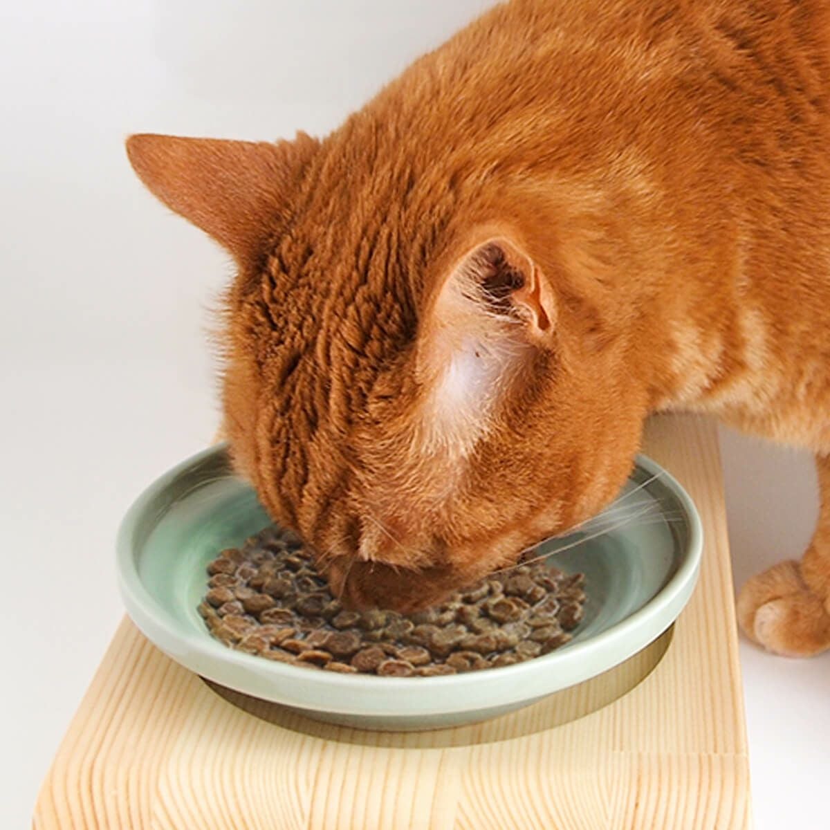 ヘルスウォーターボウルとセットで人気。猫のごはん用陶器・フード