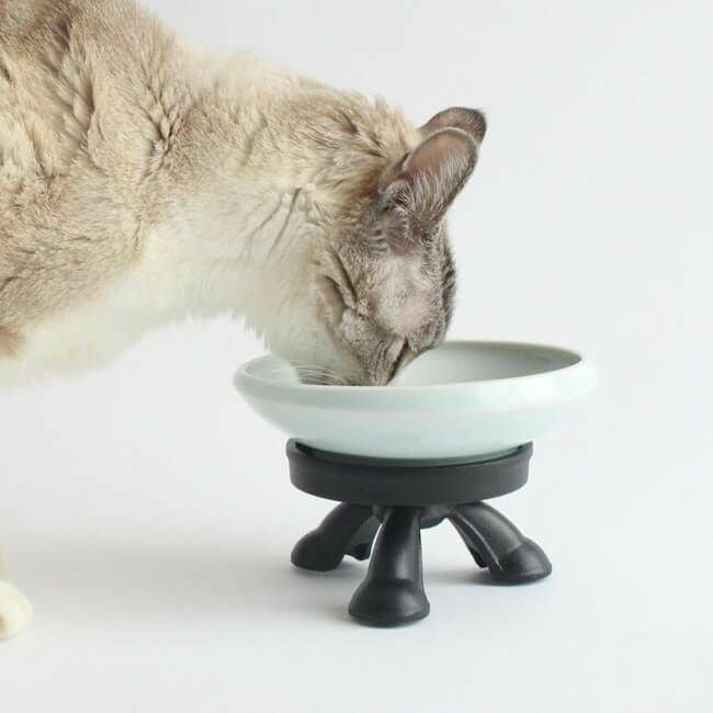 テレビで紹介】猫がエリザベスカラー着用中も食べやすい介護用食器台