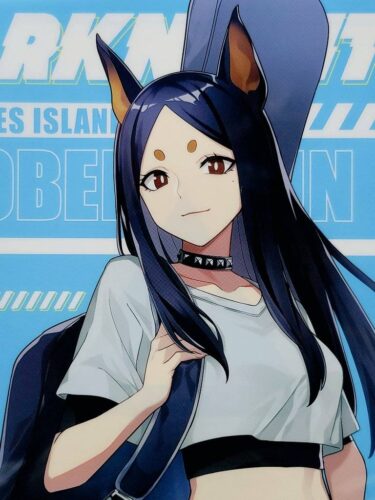 大陸限定公式グッズ 2022年アークナイツカフェ 「レユニオンカフェ