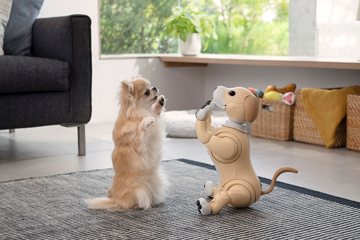 aiboに新色「きなこ」登場、初の2色フェイス - 既存の仲間含め5.5万円