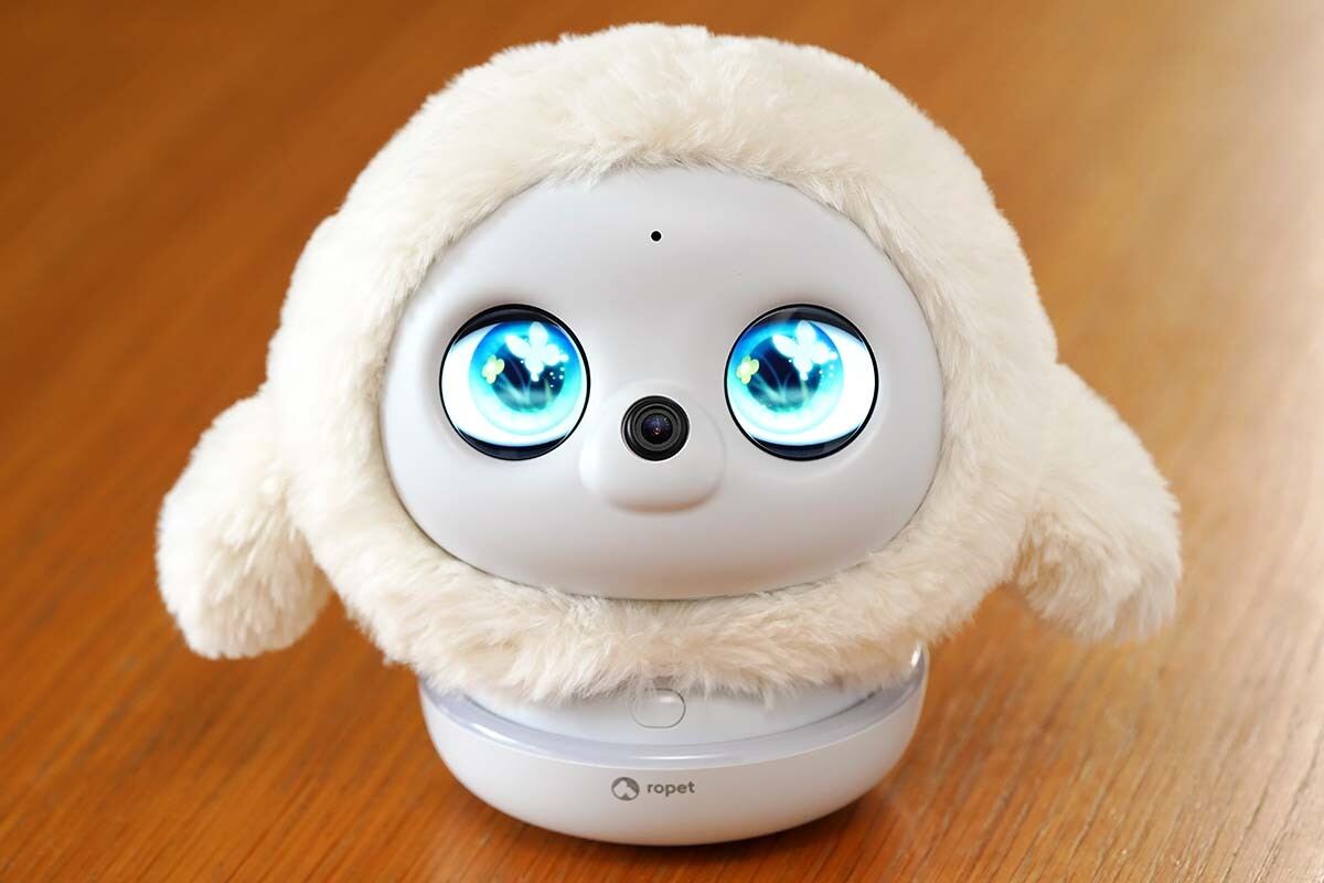 AI搭載ペットロボット「lopeto」レビュー 表情豊か、温もりも感じ