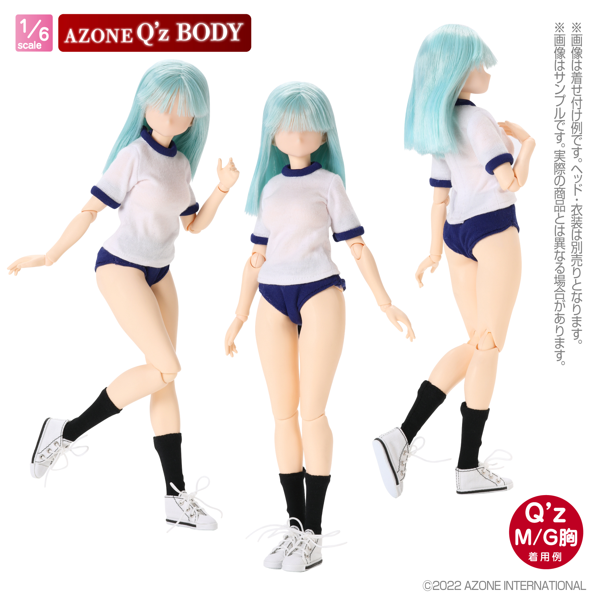 1/6ドール素体 AZONE Q'z BODY M/G胸 （アゾンダイレクトストア先行